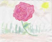 flowerrose_small.jpg